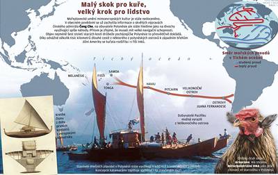 Polynésané pivezli do Jiní Ameriky kuata.
