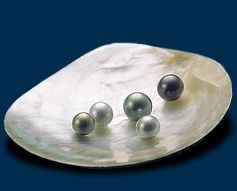 perly (ilustraní foto)