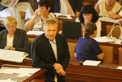 Mirek Topolánek krátce poté, co jeho vláda získala dvru poslanc