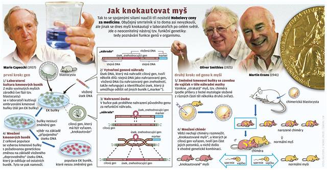 Nobelovku za lkastv dostanou ti vdci