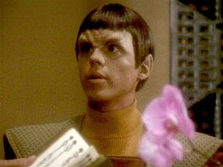 D'Tan, postava ze seriálu Star Trek