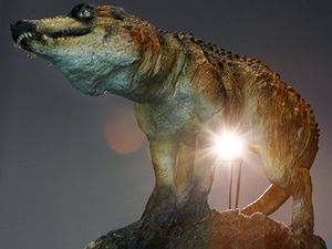 Kostru prehistorickho krokodla nalezli vdci  ve vnitrozem brazilskho sttu Sao Paulo.