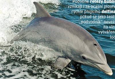 Nejvyí rychlost delfín neomezuje síla sval, ale hydrodynamika.