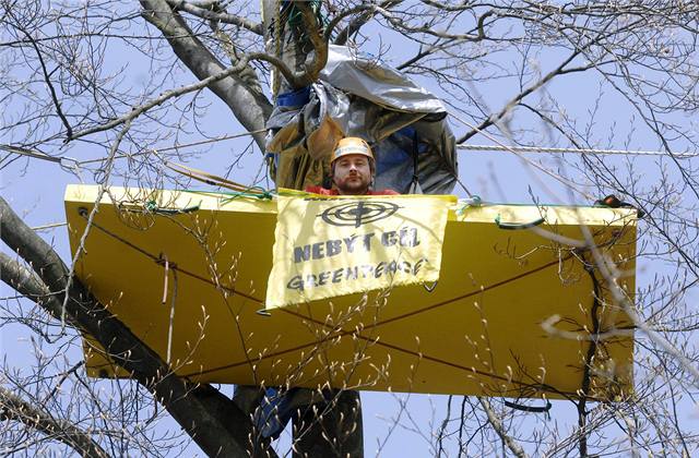 Protestující si vytvoili na stromech ploiny.