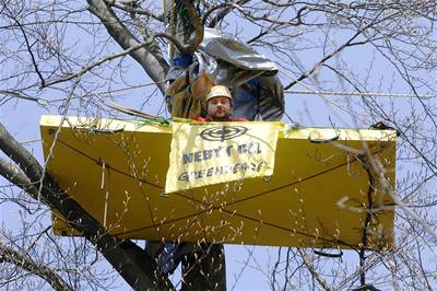 Greenpeace se uhnízdili v Brdech.