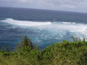 Vlny havajskho ostrova Maui lkaj milovnky surfingu.