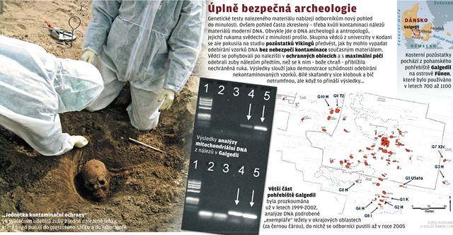 Zaruen vikinsk DNA