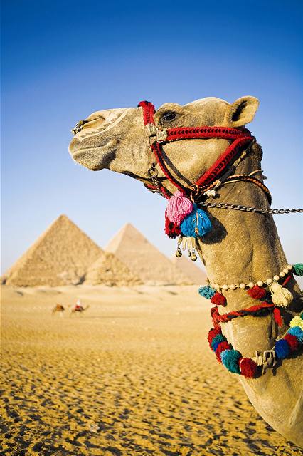 Egypt: unesen turist jsou na svobod