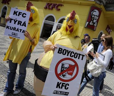 <i>KFC týrá kuřata</i>, volali aktivisté