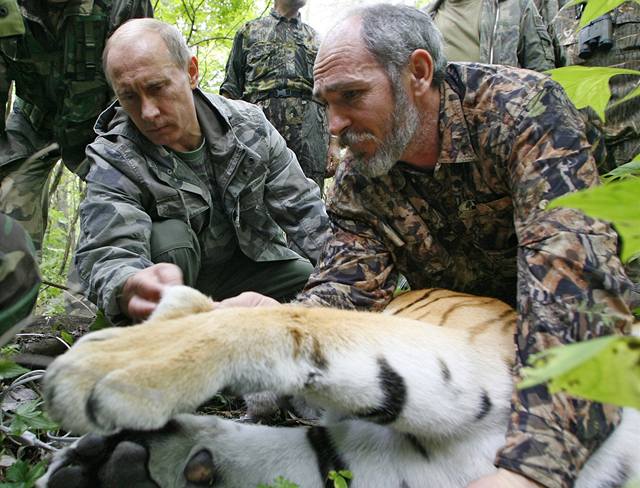 Putin a tygr
