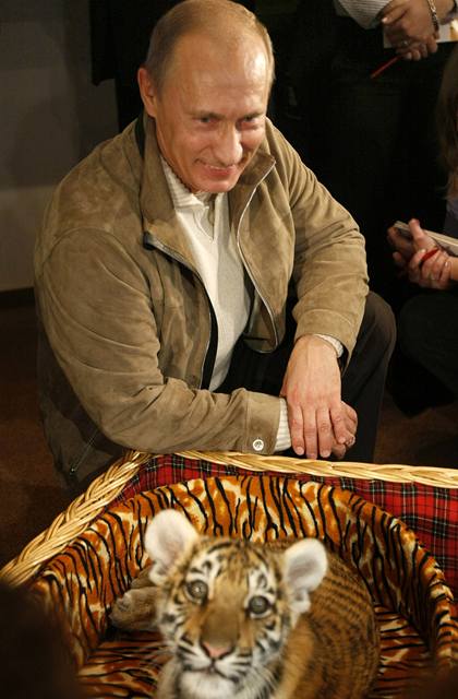 Putin dostal k narozeninm tygici