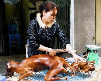 Ve Vietnamu je psí maso povaováno za pochoutku.