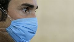 Prasečí chřipka v ČR? Za čtyři týdny, tvrdí hygienik