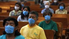 Prasečí chřipka má již přes 100 obětí