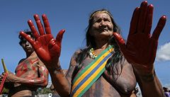 Brazil�tí indiáni tábo�í v hlavním m�st�, po�adují více práv.