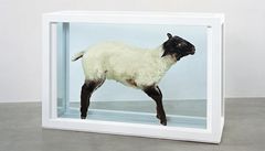 Away from the Flock, 1994. Steel, glass, formaldehyde solution and lamb.