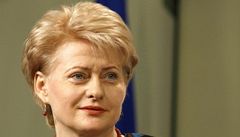 Dosavadní eurokomisaka pro rozpoet Dalia Grybauskaiteová je podle przkum nejvtí favoritkou na novou hlavu státu v Litv.