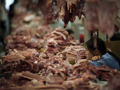 Prodej vepového masa v ín po prvních hláených pípadech praseí chipky v této zemi rapidn klesnul.