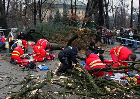 Spadlý strom zranil est lidí, dv dti ván.