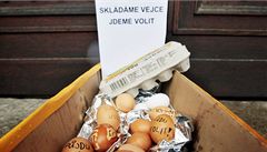 První vrha vajíka na pedsedu SSD Jiího Paroubka se zakladatelem skupiny "Vejce pro Paroubka v kadém mst" na sociální síti Facebook uspoádali v Kolín happening s názvem "Skládáme vejce, jdeme volit" 