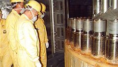 Rusko postaví až 58 nových jaderných reaktorů