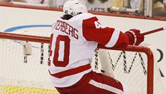 Houpající se Zetterberg.