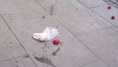 Rajata na studentské demonstraci