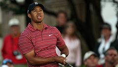 Tiger Woods sleduje odpal na turnaji Arnold Palmer Invitational.