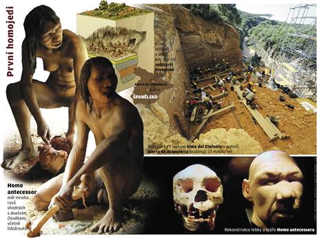 Pračlověk Homo antecessor pojídal své nepřátele. Nejradši měl děti a mládež.