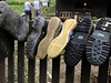 Obuv se suí na plot u domu v ilin u Nového Jiína