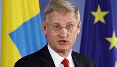 védský ministr zahranií Carl Bildt