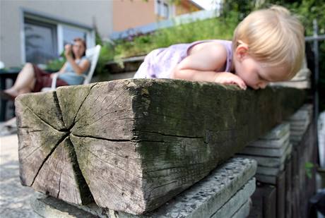 elezniní praec: oblíbená, ale nebezpená ást zahrádek.