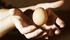 Společnost Zeelandia dodávala vejce s nebezpečným fipronilem, musí je stáhnout