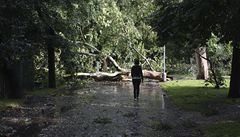 Spou v parku u kostela sv. Cyrila a Metodje v Karlín po prudké boui, která se v podveer prohnala Prahou.