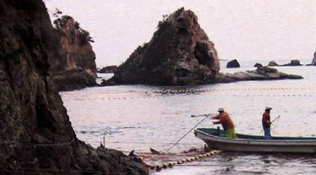 Zbr z filmu Ztoka - japont rybi lov delfny