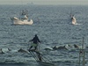 Zábr z filmu Zátoka - japontí rybái loví delfíny