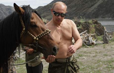 Vladimír Putin krmí kon pi pobytu na Sibii (záí 2009)