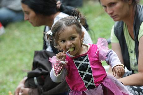 Nelegální databáze obsahovala i údaje o romských dtech (ilustraní fotografie)