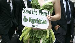 Slečny oblečené v salátu přesvědčovaly: Buďte vegetariáni