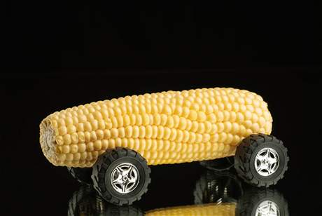 Výrobci etanolu v USA poadují, aby vechny vozy prodávané v USA byly schopné jezdit na vysoký podíl alternativního paliva.