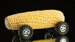 Výrobci etanolu v USA požadují, aby všechny vozy prodávané v USA byly schopné jezdit na vysoký podíl alternativního paliva.