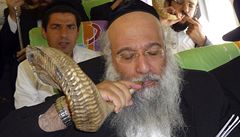 Izraelští rabíni kvůli prasečí chřipce vyhlásili půst