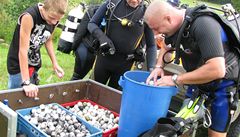 Potáp��i vylovili stovky golfových mí�k�