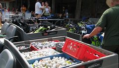 Potáp��i vylovili stovky golfových mí�k�