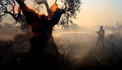 Velký lesní požár na severu Atén se vymkl kontrole a ohrožuje domy 