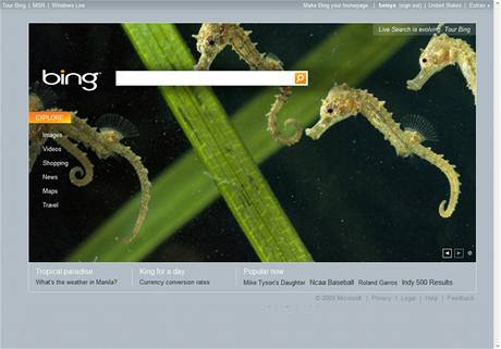 Vyhledáva Bing má problém kvli své kampani