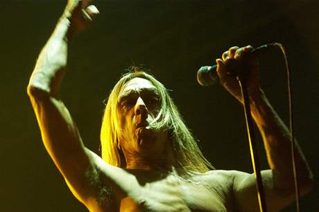 Iggy Pop