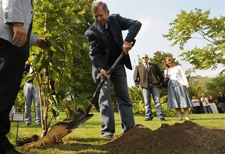 Exprezident Václav Havel zasadil sakuru a doporuil návtvu japonské zahrady eským politikm.