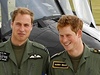 Plukovník Wales. Princ Harry, stejn jako jeho starí bratr William (vlevo),...