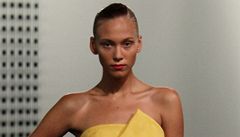 Model z kolekce Victorie Backhamové.